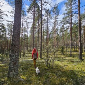 Hellää haahuilua Hämeenkankaalla - päiväretki (Ennakkomaksu)